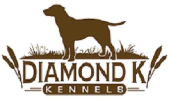 Diamond K Kennels-Home-Diamond K Kennels